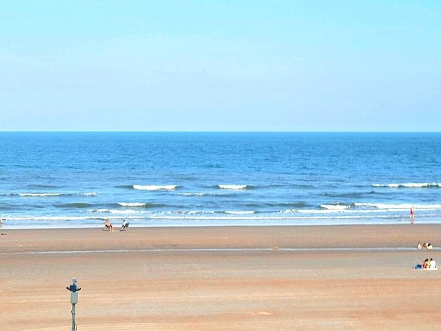 デイトナ・ビーチDirect Oceanfront With Balconyアパートメント エクステリア 写真